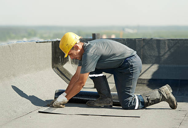 Best Geographic-Specific Insulation Services in Bloomington, CA