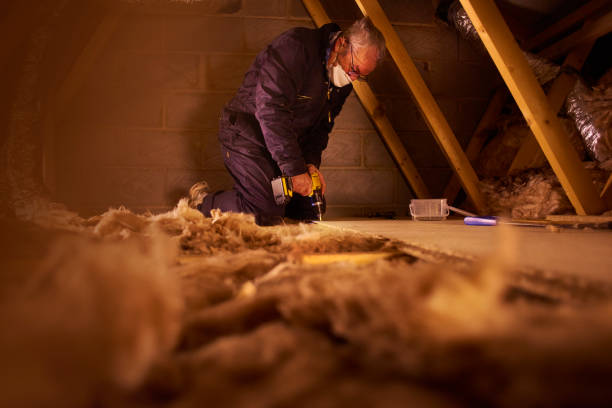 Best Energy Efficiency Insulation in Bloomington, CA